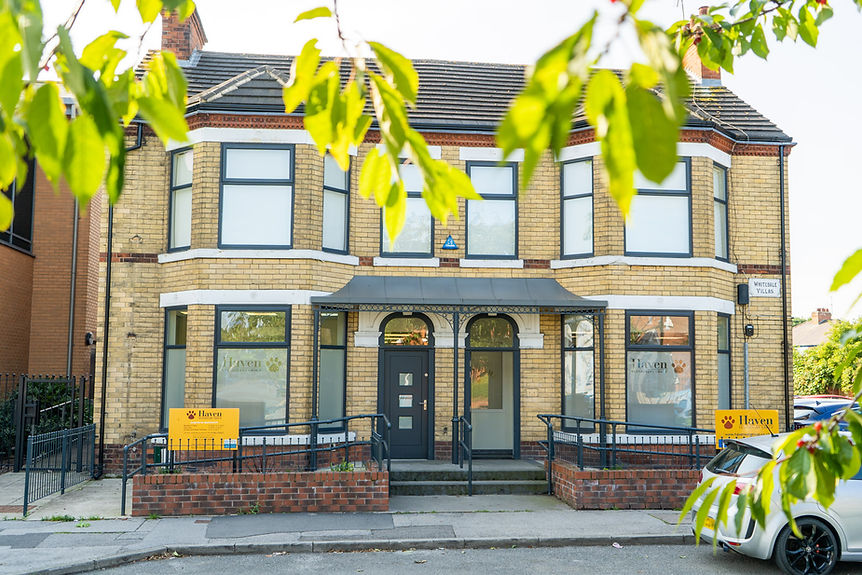 Vets in Hull Haven Veterinary Group Hull Practice